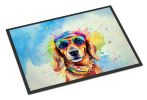 Dachshund Hippie Dawg Doormat Front Door Mat Indoor Outdoor Rugs for Entryway, Non Slip Washable Low Pile, 24H X 36W
