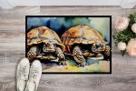 Turtles Tortoises Doormat Front Door Mat Indoor Outdoor Rugs for Entryway, Non Slip Washable Low Pile, 24H X 36W