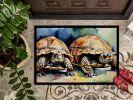 Turtles Tortoises Doormat Front Door Mat Indoor Outdoor Rugs for Entryway, Non Slip Washable Low Pile, 24H X 36W