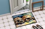 Turtles Tortoises Doormat Front Door Mat Indoor Outdoor Rugs for Entryway, Non Slip Washable Low Pile, 24H X 36W