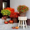 Artificial Autumn Outdoor Flowers, Simulated Chrysanthemums - 12 Bundles of UV-Resistant, Fade-Resistant Artificial Plastic Plants for Garden, Porch,