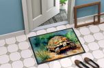 NEW Turtles Tortoises Doormat Front Door Mat Indoor Outdoor Rugs for Entryway, Non Slip Washable Low Pile, 18H X 27W