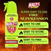 HALT! Handheld Fire Fighting Foam Spray â€“ Non-Toxic, Easy to Use, Store, and Find in Emergency â€“ Compact & Portable â€“ Ideal for Home, Kitchen, A